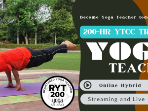 6- Months Yoga and Wellness Coach Certificate