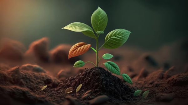 Mindfullness with yoga